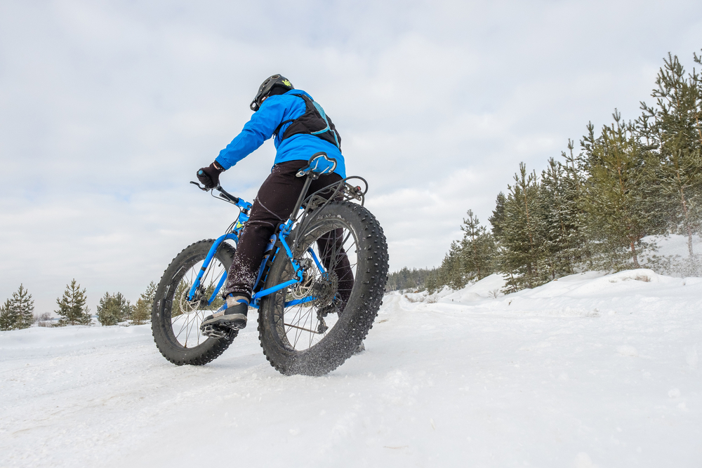 Fat Bike